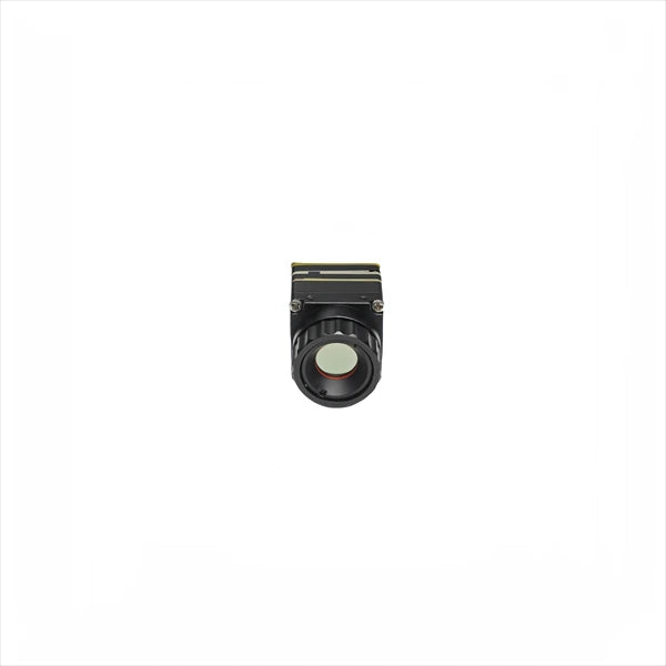 CV256：4mm Focal length Different interface 256*192 Resolution Camera Module thermal imagers